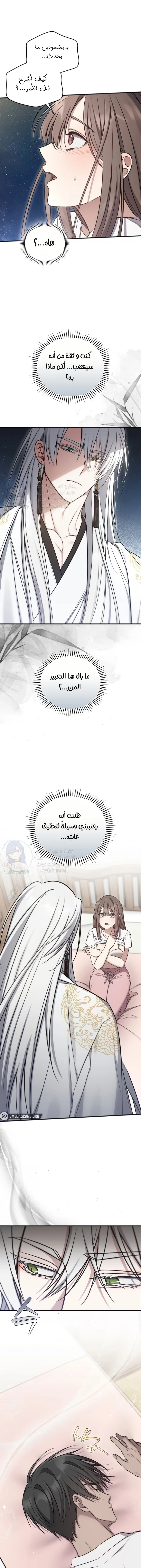 Island Without Shadows - 13 - 68052e13b0fe7.webp