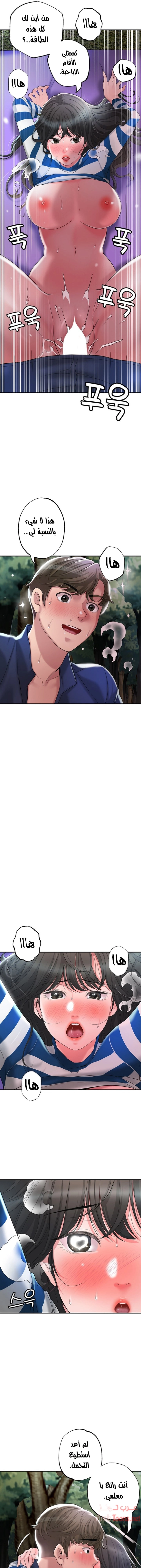 البلدة الجديدة - 58 - 6531f1ea6cff1.webp