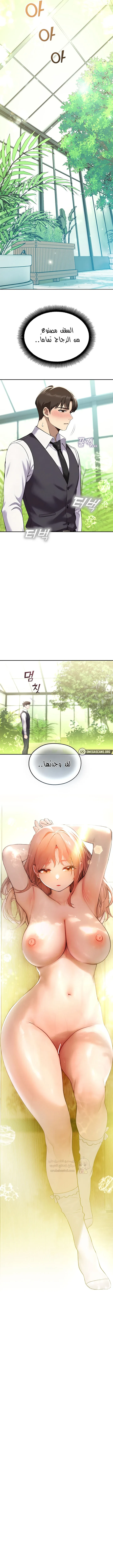 المراقب - 8 - 693ac48a44fd2_QyAZ.webp