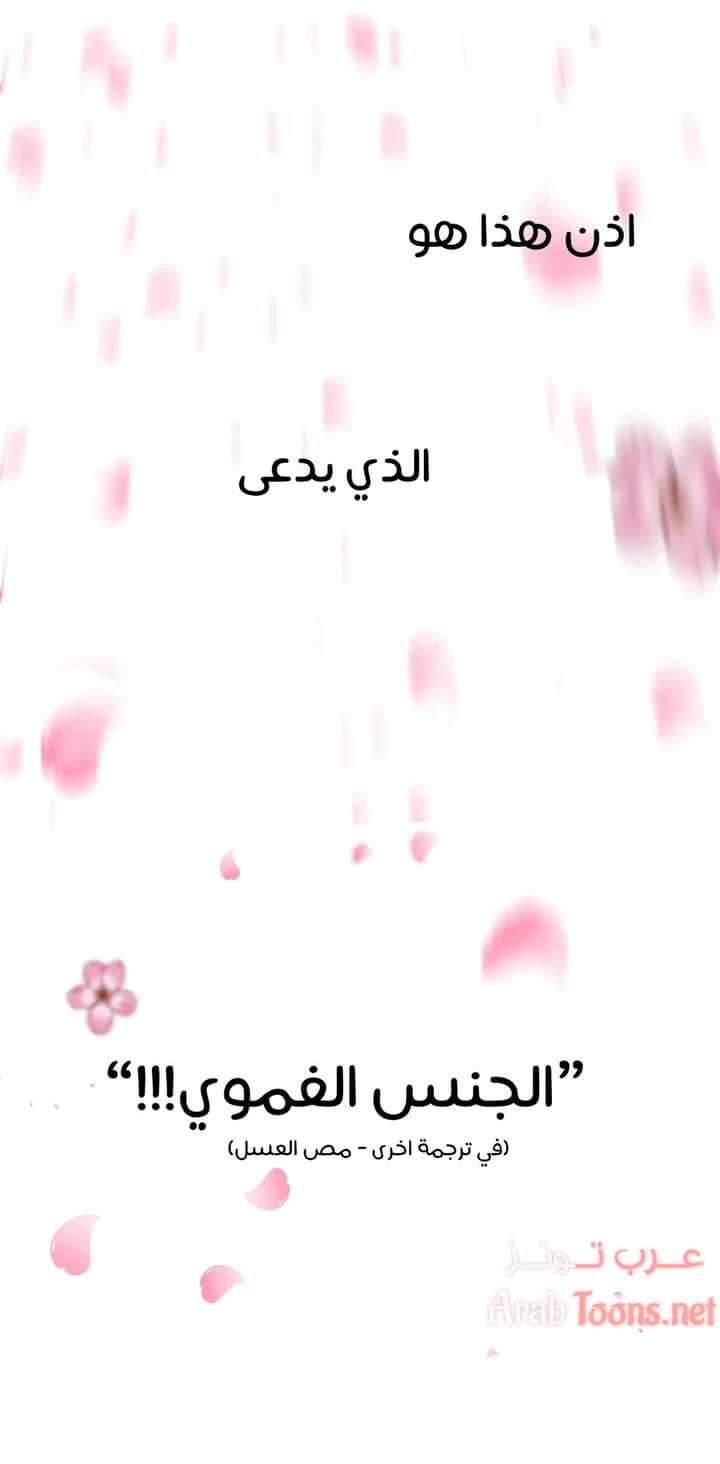 النصف المثالي - 3 - 6533593d105a5.webp