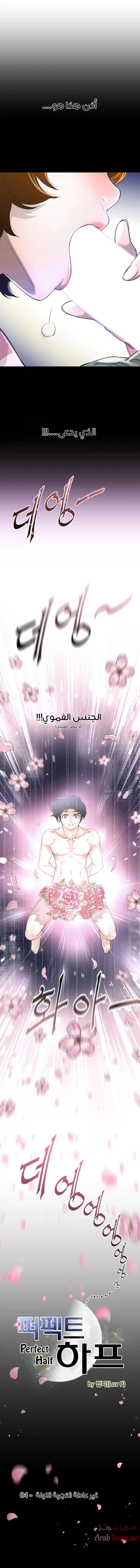 النصف المثالي - 4 - 65335f53899b3.webp