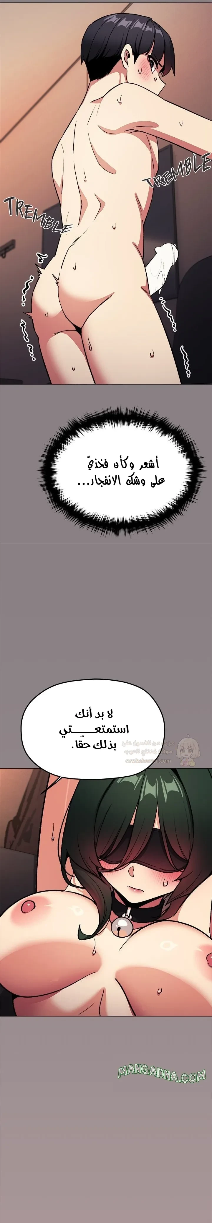 توقف عن التدخين - 82 - 6998d0df291bd_hngx.webp