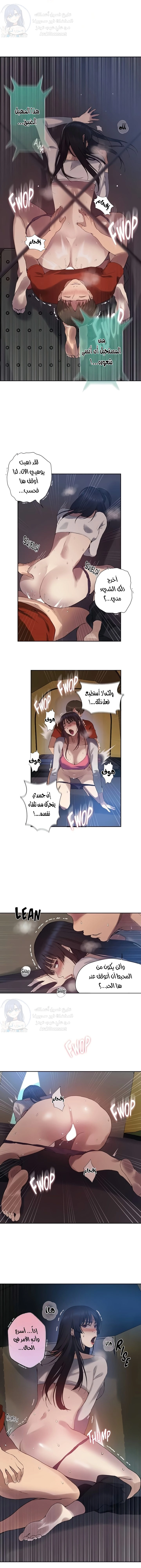 فصل سري - 255 - 6803a2a85044b.webp