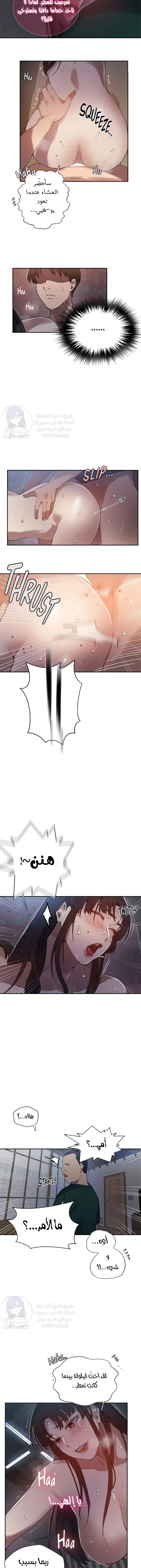 فصل سري - 262 - 6859f1cb99b34.webp