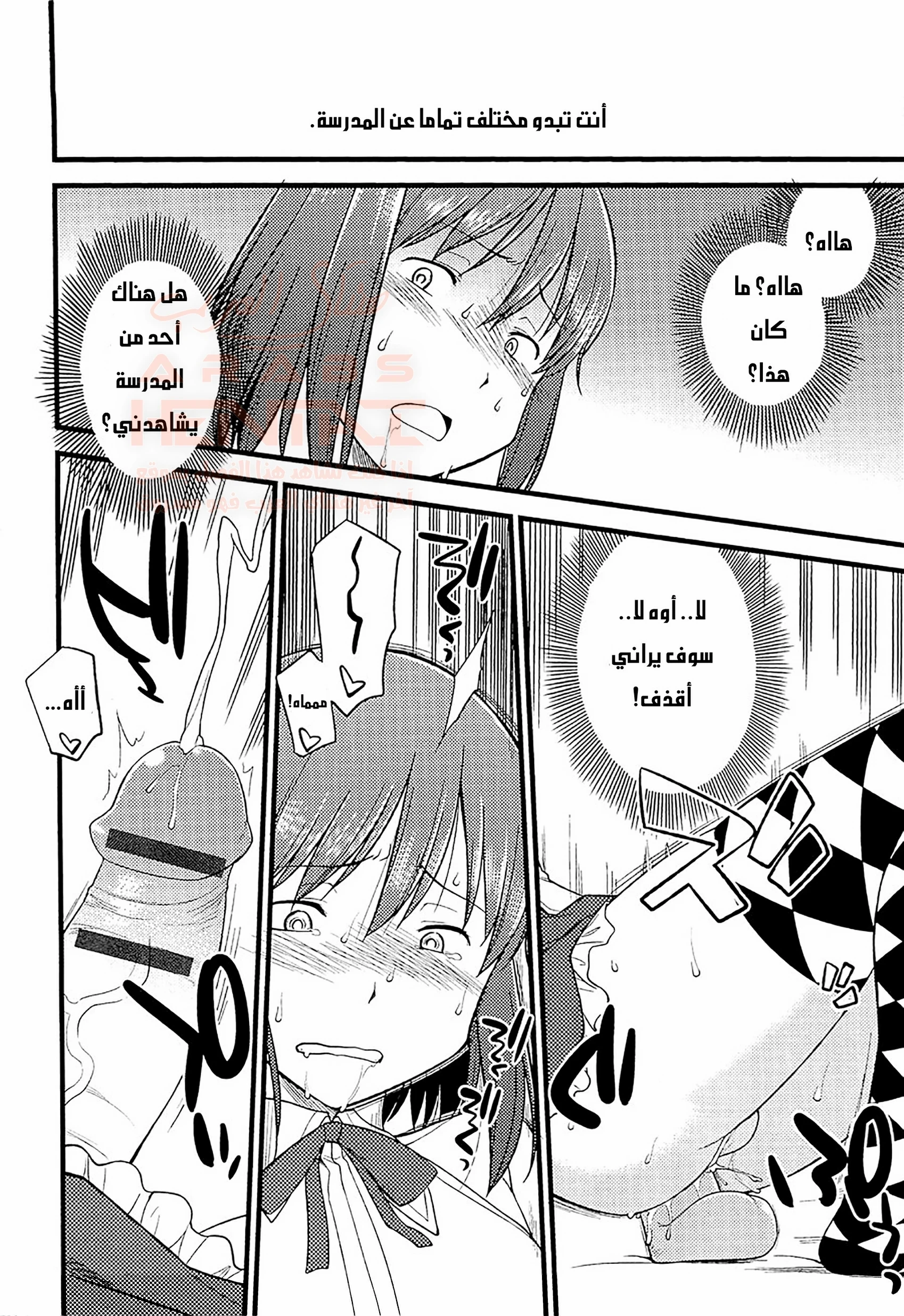 مهرجان التحول إلى إناث - 7 - 67ed1c7ccd9d7_CP5m.webp