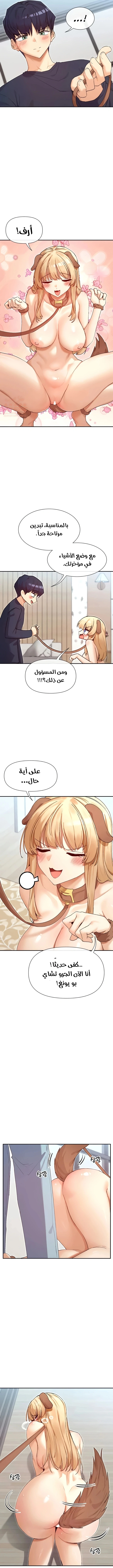 هل تشاهد هذه الأمور؟ - 37 - 686310c813f99_7ChD.webp